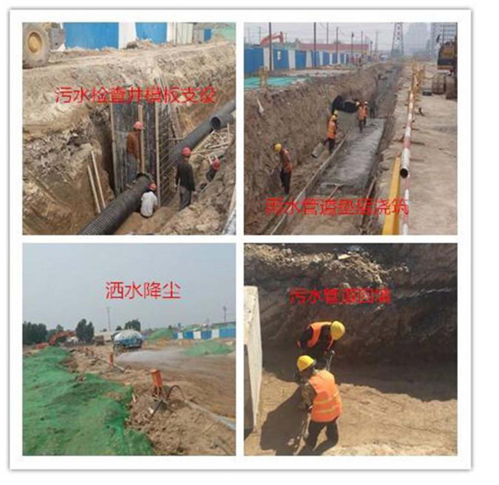 55世纪-追求健康,你我一起成长